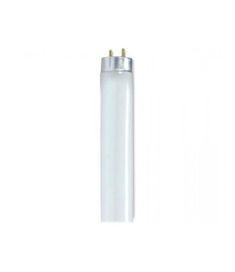 Satco 08440 - F32/25WT8/841/ES/ENV S8440 Straight T8 Fluorescent Tube Light Bulb