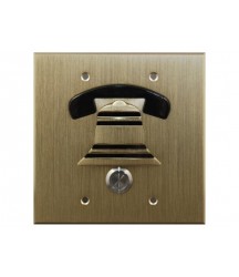 DoorBell Fon DP28 Door Answering System for 2-Gang Masonry Box, Brass (DP28-BF)